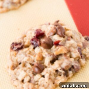 Oh my gosh, these are my new favorite cookies!! Craisin toffee oatmeal chippers! ohsweetbasil.com