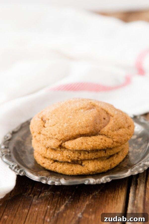 Chewy Molasses Cookie Recipe A close-up shot of a single soft molasses cookie with a perfect sugar coating, highlighting its inviting texture.