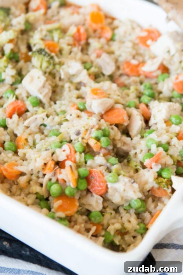 Simple Ingredients for Cheesy Ranch Chicken and Rice Casserole Fresh ingredients including chicken, rice, cheese, and vegetables for Cheesy Ranch Chicken and Rice Casserole