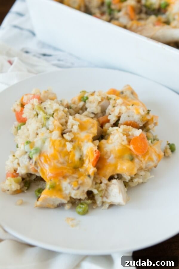 Comforting Cheesy Ranch Chicken and Rice Casserole for Dinner A generous serving of creamy Cheesy Ranch Chicken and Rice Casserole on a plate