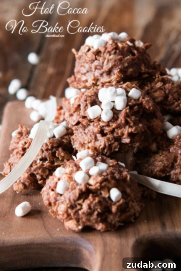 Delicious Hot Cocoa No Bake Cookies with Mini Marshmallows A plate of freshly made hot cocoa no bake cookies with mini marshmallows