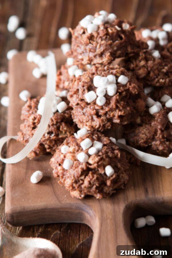 Hot Cocoa No Bake Cookies with Melted Marshmallows Close-up of hot cocoa no bake cookies with visible mini marshmallows