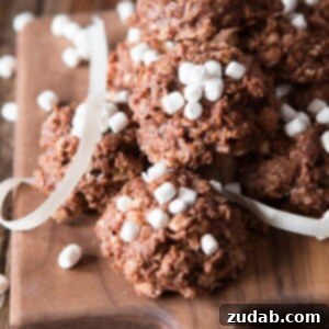 No-Bake Hot Chocolate Wonders 2 Hot Cocoa No Bake Cookies with oats and marshmallows