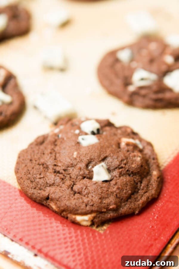 No-Bake Hot Chocolate Wonders 3 Close-up of baked chocolate cookies and cream cookies