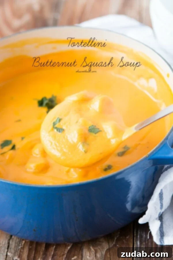 Creamy Tortellini Butternut Squash Soup: A Fall Favorite Indulge in the rich, creamy goodness of this tortellini butternut squash soup – a perfect fall comfort food from ohsweetbasil.com