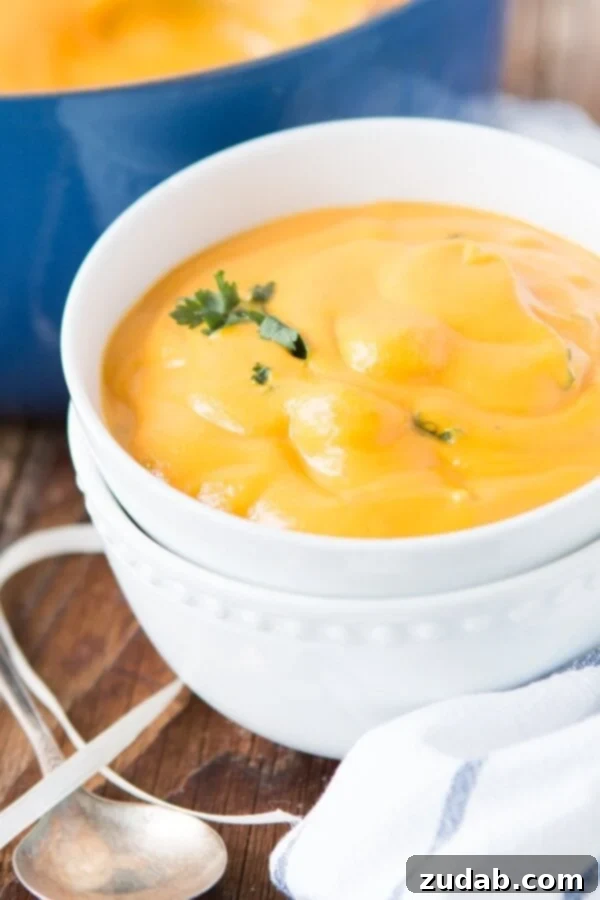Butternut Squash Soup: A Freezer-Friendly Delight Discover the ultimate comfort food for cooler weather: Creamy Tortellini Butternut Squash Soup from ohsweetbasil.com