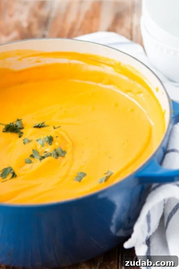 Blending Perfection: From Roasted Veggies to Creamy Soup Puree your roasted vegetables for a silky smooth and flavorful butternut squash soup, then add tortellini! ohsweetbasil.com