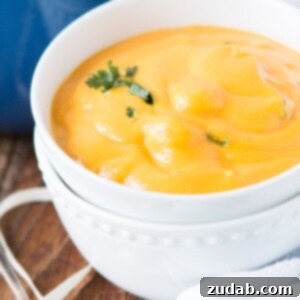 Creamy Roasted Butternut Squash Soup with 2 Secret Ingredients and Tortellini ohsweetbasil.com