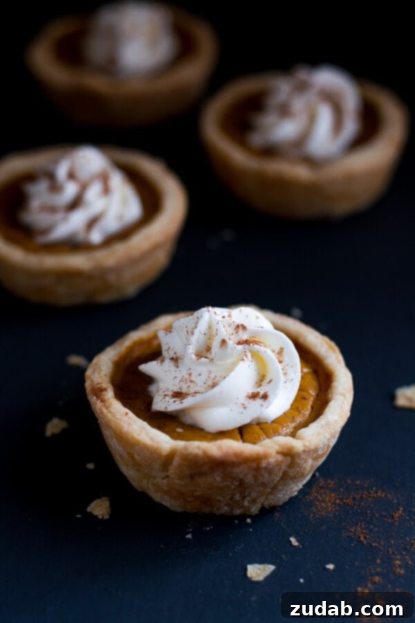 Mini Pumpkin Pies are cute little portions of the beloved Thanksgiving pumpkin pie. Mini Pumpkin Pies garnished with whipped cream on dark surface