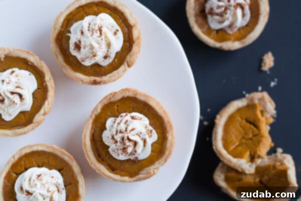 Mini Pumpkin Pies are cute little portions of the beloved Thanksgiving pumpkin pie. plate of Mini Pumpkin Pies
