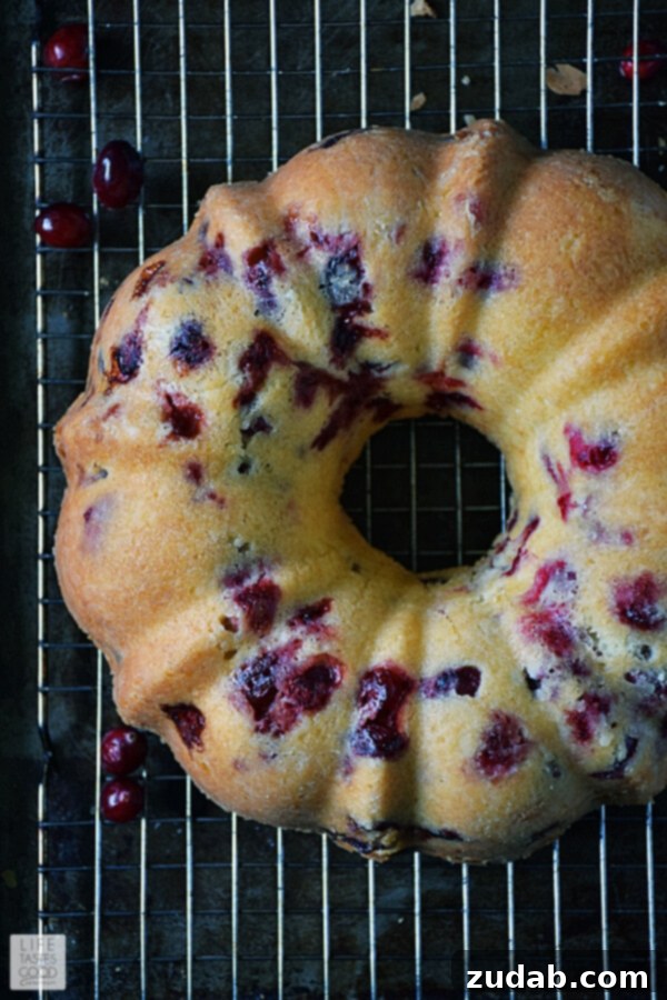 Drizzling orange glaze on Cranberry Bundt Cake Sweet orange glaze being drizzled generously over a cooled Cranberry Bundt Cake.