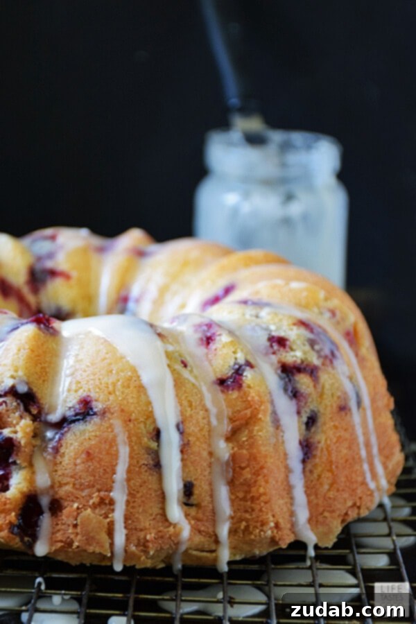 Cranberry Bundt Cake with fresh cranberry garnish Finished Cranberry Bundt Cake, garnished with fresh cranberries, ready to be served.