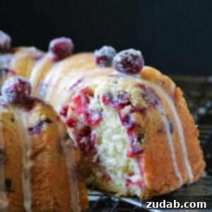 Delightful Cranberry Bundt Cake 2 Cranberry Bundt Cake | by Life Tastes Good