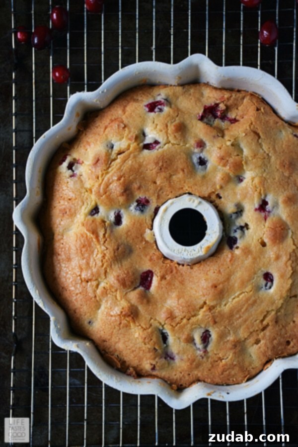 Cooling Cranberry Bundt Cake on rack Warm Cranberry Bundt Cake carefully inverted onto a wire cooling rack.