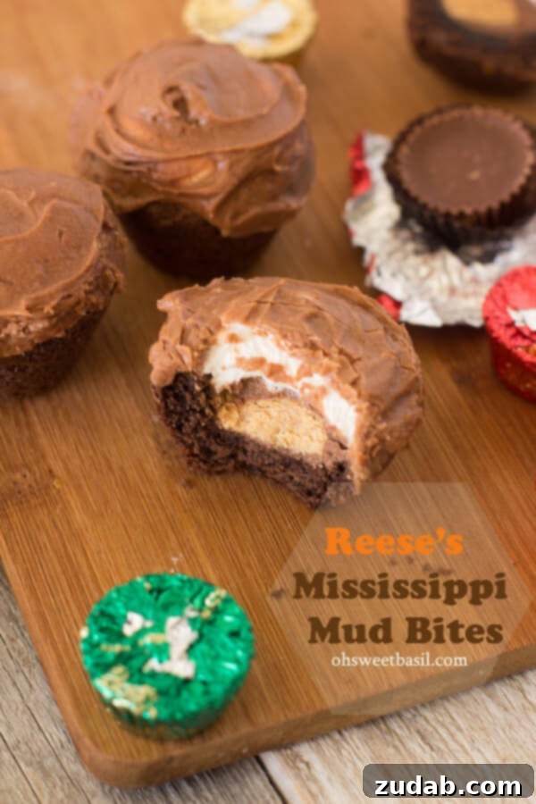 Candy Cane Crunch Brownies 6 Fun and easy Reese's Mississippi Mud Bites, perfect for cooking with kids