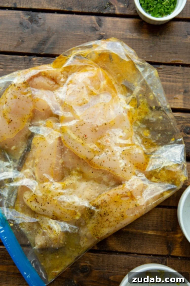 Zesty Citrus Greek Chicken 4 Uncooked chicken breasts generously coated in a vibrant citrus Greek marinade, sealed within a large plastic bag, ready for flavor infusion.
