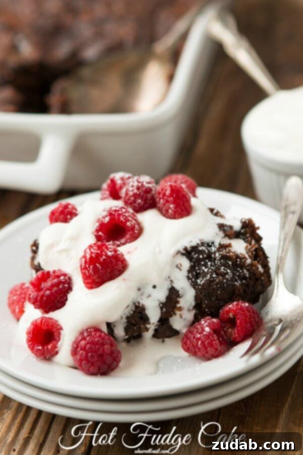 Decadent Milk Chocolate Dreams 7 A slice of rich hot fudge cake, moist and intensely chocolatey, from Oh Sweet Basil.