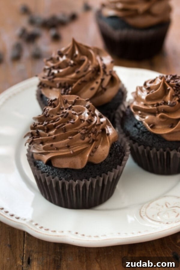 Decadent Milk Chocolate Dreams 4 Two rich double chocolate cupcakes with abundant frosting and chocolate shavings.