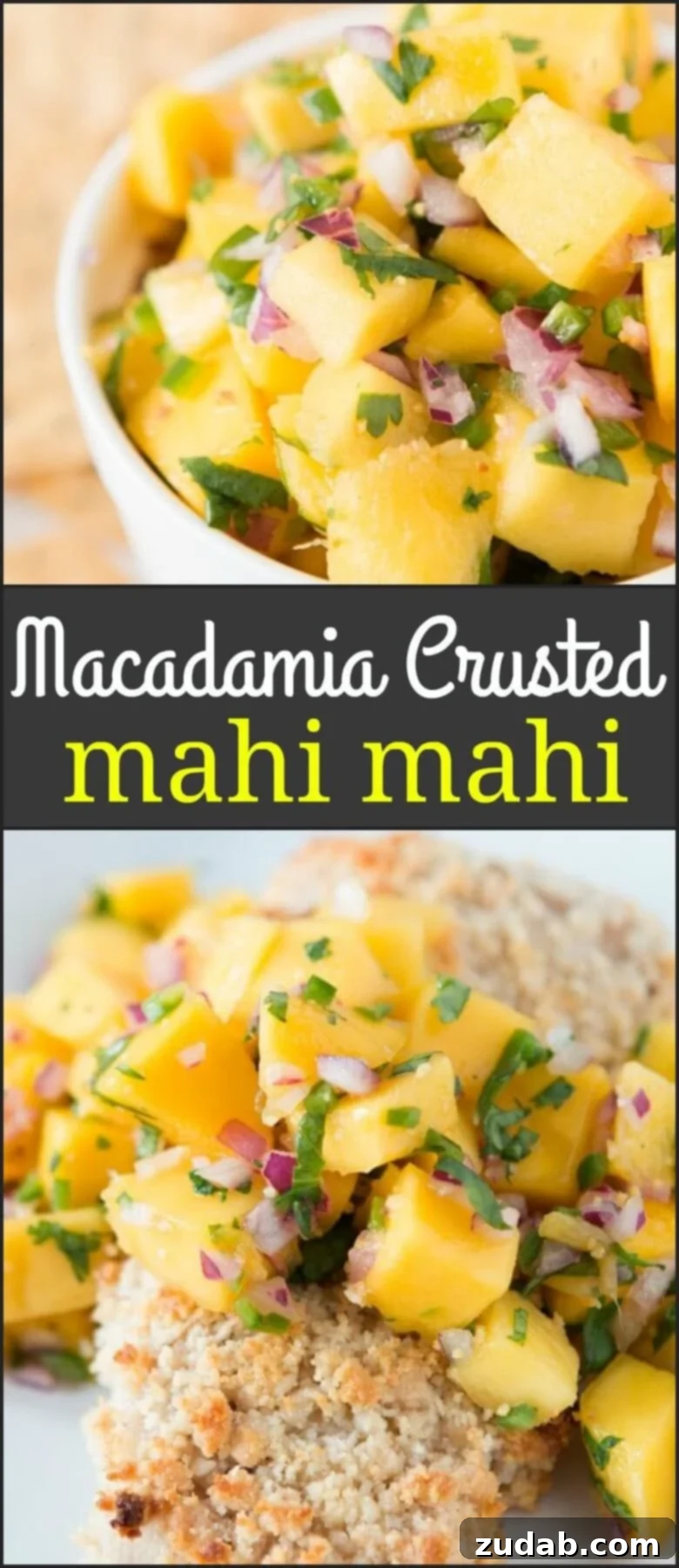 A full serving of macadamia crusted mahi mahi with vibrant mango salsa Plated macadamia crusted mahi mahi with mango salsa