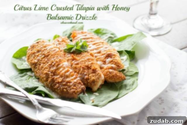 Crispy Macadamia Mahi Mahi 2 Citrus Lime Crusted Tilapia, a healthy seafood recipe