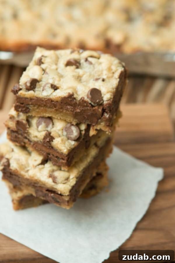 2015 Recipe Highlights 10 Indulge in the decadent Mudslide Blondies, rich and chewy bars generously stuffed with whole milk chocolate bars, creating an irresistible dessert experience. Pure bliss in every bite!
