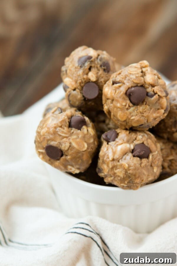 2015 Recipe Highlights 5 Fuel your day with these Protein Style No Bake Energy Bites, packed with chocolate chips, protein, and wholesome ingredients for a delicious and healthy snack on the go.