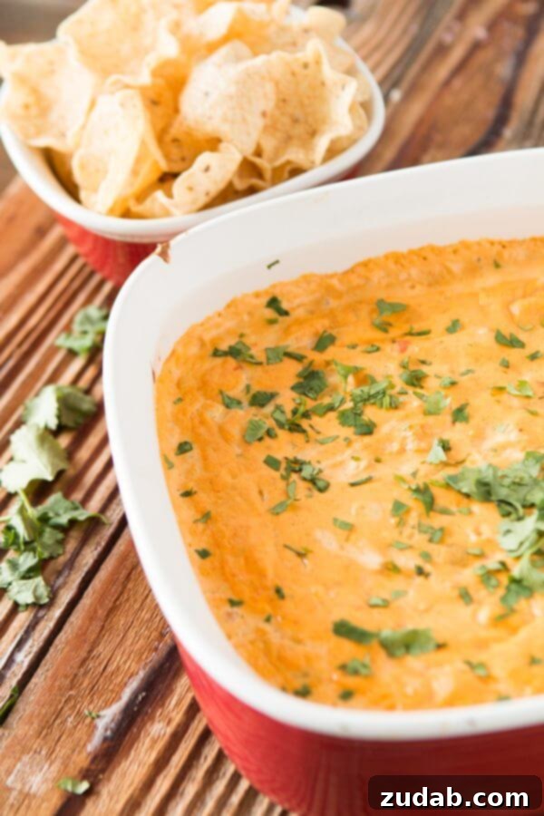 Irresistible Cheesy Chicken Tortilla Queso Dip Creamy Cheesy Chicken Tortilla Queso Dip, ready to be enjoyed with a spoon.