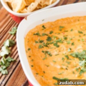 Signature Chicken Tortilla Queso Dip 2 Cheesy Chicken Tortilla Dip is our new guilty pleasure. Can't stop eating it!!