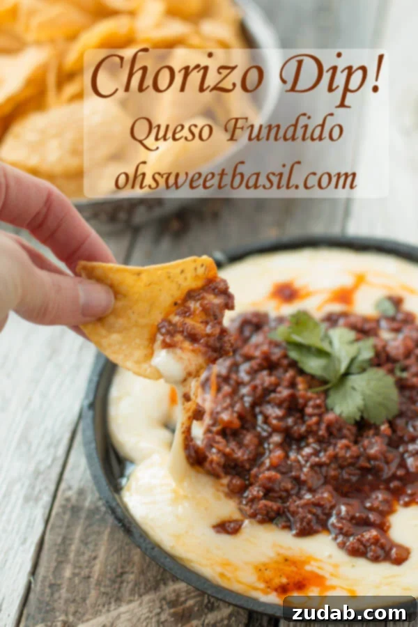 Signature Chicken Tortilla Queso Dip 5 Spicy and cheesy Queso Fundido with chorizo, an amazing appetizer.