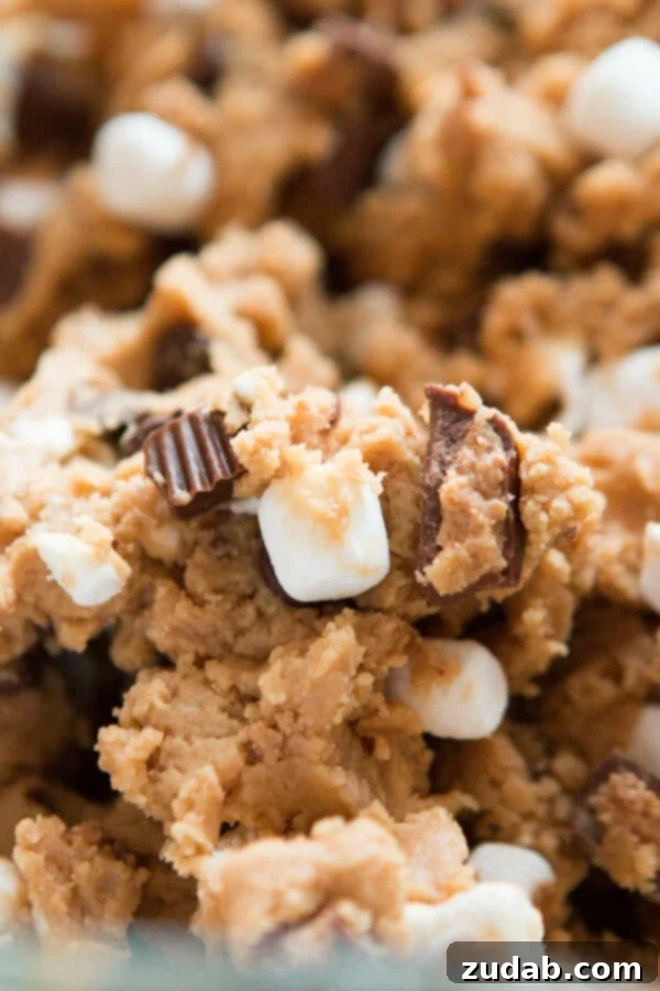 Reese's Marshmallow Peanut Butter Cookies ohsweetbasil.com Irresistible Reese's Marshmallow Peanut Butter Cookie Dough - The Ultimate Sweet Basil Recipe