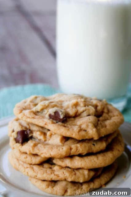 Reeses Gooey Peanut Butter Marshmallow Cookies 4 Classic Peanut Butter Chocolate Chip Cookies by Oh Sweet Basil