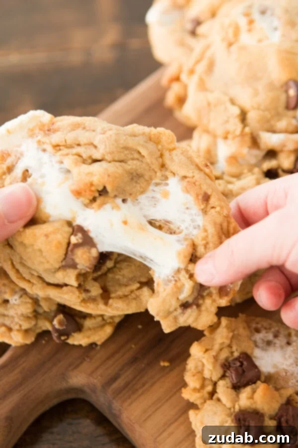Reeses Gooey Peanut Butter Marshmallow Cookies 6 A close-up shot of baked Reese's Marshmallow Peanut Butter Cookies, with melted marshmallows and chocolate visible