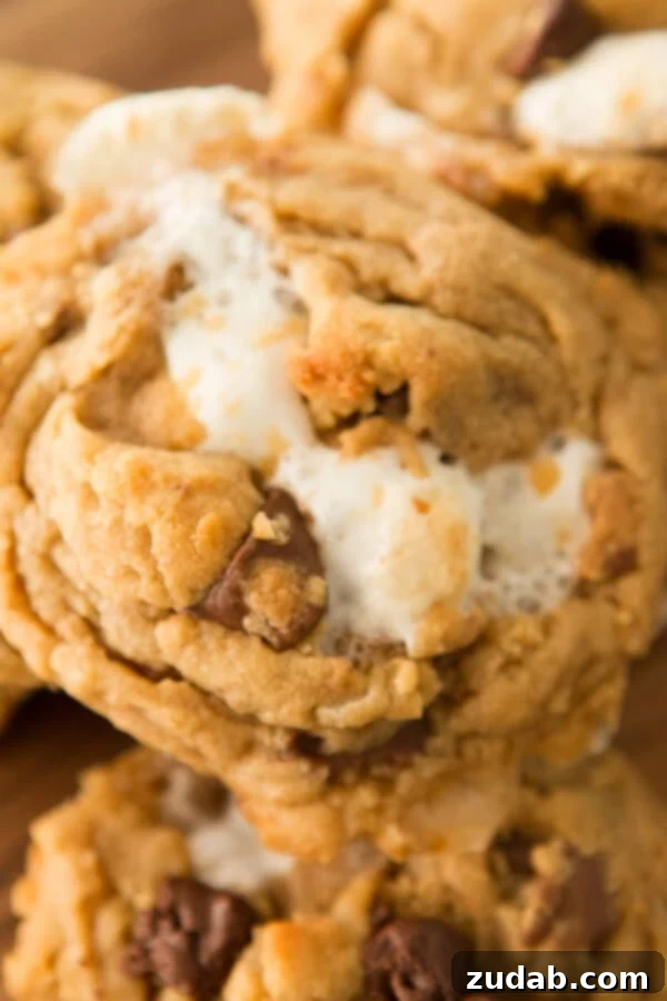 Reese's Marshmallow Peanut Butter Cookies ohsweetbasil.com Freshly Baked Reese's Marshmallow Peanut Butter Cookies cooling on a rack