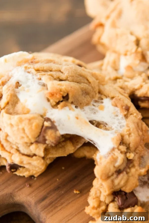 Reese's Marshmallow Peanut Butter Cookies ohsweetbasil.com Close-up of Gooey Reese's Marshmallow Peanut Butter Cookies – A Perfect Blend
