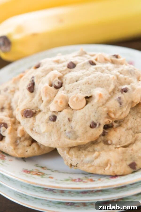 Reeses Gooey Peanut Butter Marshmallow Cookies 3 Delicious Peanut Butter Banana Chocolate Chip Cookies from Oh Sweet Basil