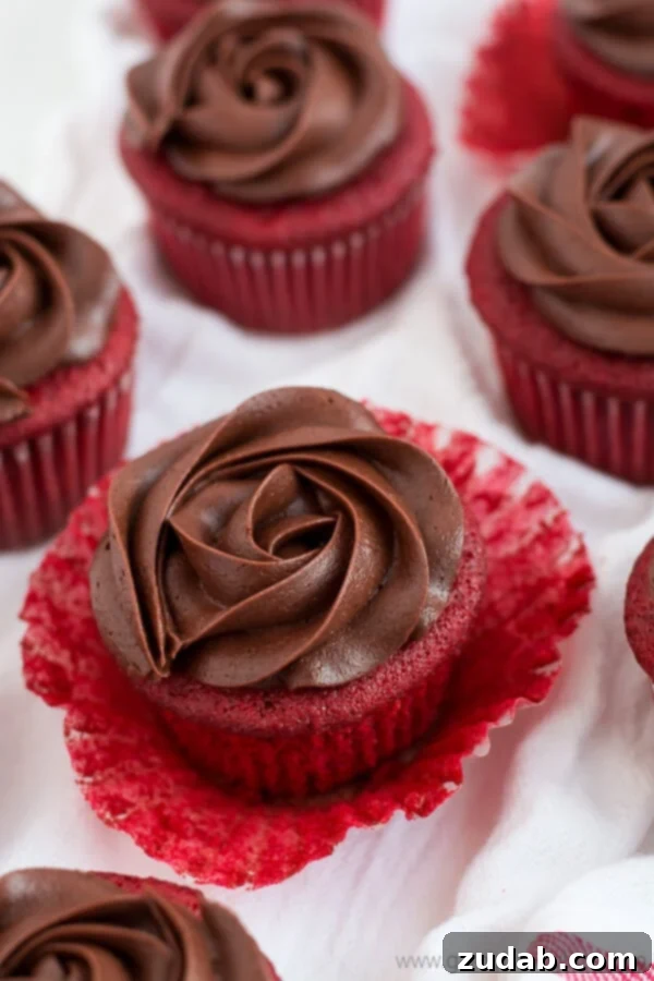 Chocolate Rose Red Velvet Cupcakes These Chocolate Rose Red Velvet Cupcakes look as beautiful and smell as sweet as a dozen red roses but with how good they taste they won't be around for too long!