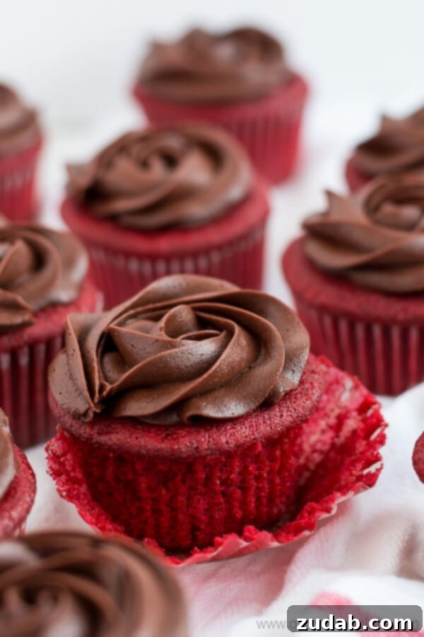 Chocolate Cream Cheese Frosting These Chocolate Rose Red Velvet Cupcakes look as beautiful and smell as sweet as a dozen red roses but with how good they taste they won't be around for too long!