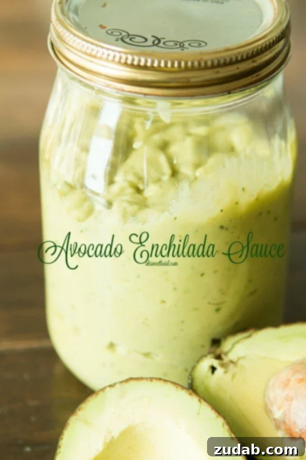 Creamy Avocado Enchilada Sauce - Quick, Easy, and From Scratch Creamy Avocado Enchilada Sauce - Quick, Easy, and From Scratch