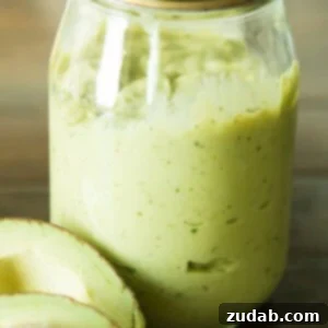 Velvet Avocado Enchilada Sauce 2 quick and easy and from scratch recipes for avocado enchilada sauce ohswetbasil.com