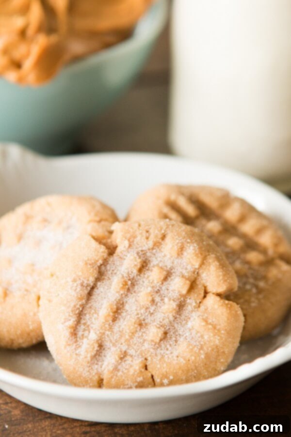 The classics are making a come back and this is definitely the best classic peanut butter cookie ohsweetbasil.com The classics are making a come back and this is definitely the best classic peanut butter cookie ohsweetbasil.com