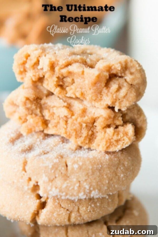 The ultimate recipe for a classic peanut butter cookie! Perfectly soft and oh my goodness good. ohsweetbasil.com The ultimate recipe for a classic peanut butter cookie! Perfectly soft and oh my goodness good. ohsweetbasil.com