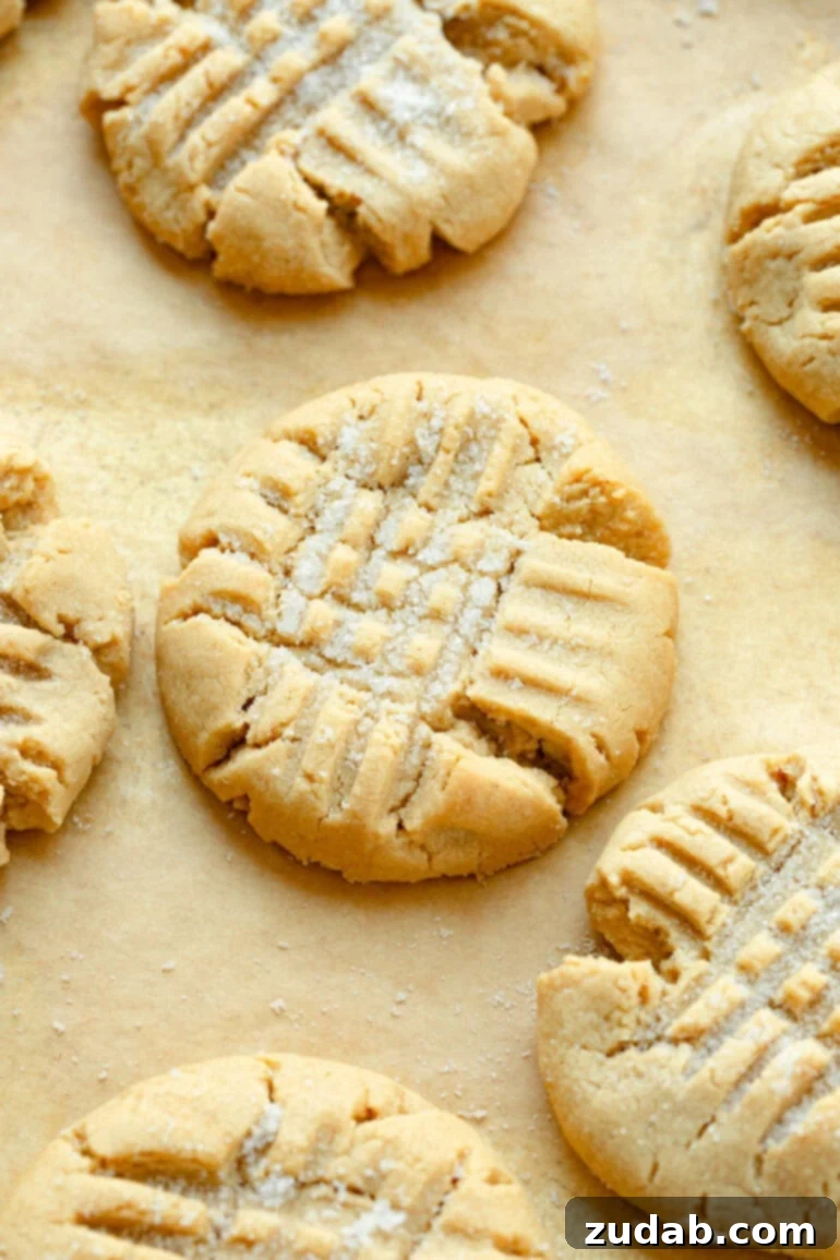 The Definitive Classic Peanut Butter Cookies 3 a photo of several baked peanut butter cookies with the criss cross patter on top