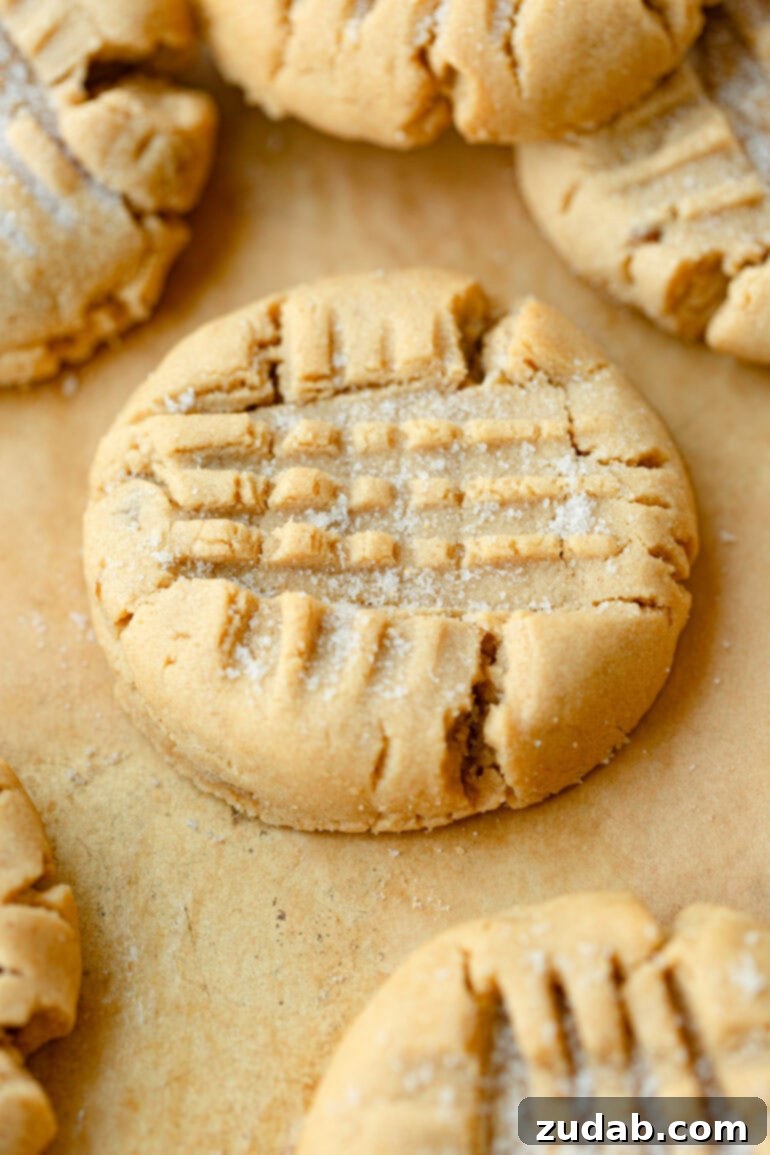 The Definitive Classic Peanut Butter Cookies 4 a photo of a baked peanut butter cookie with the classic crisscross pattern on top