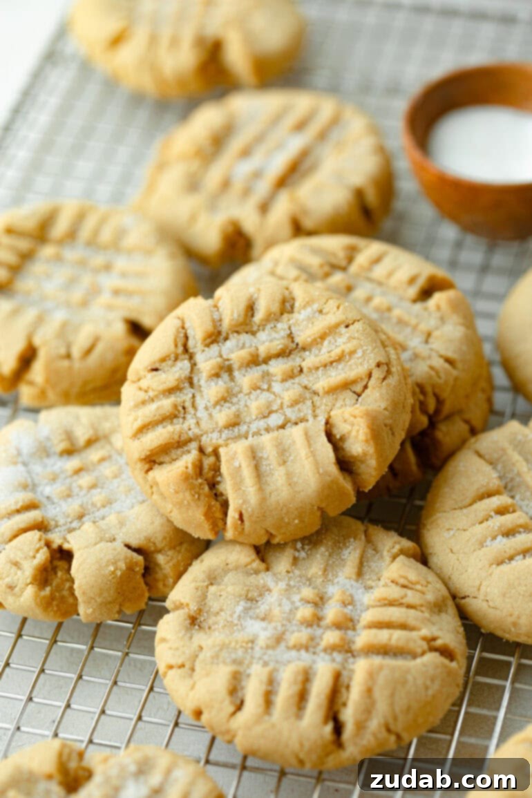 The Definitive Classic Peanut Butter Cookies 5 a photo of several baked peanut butter cookies