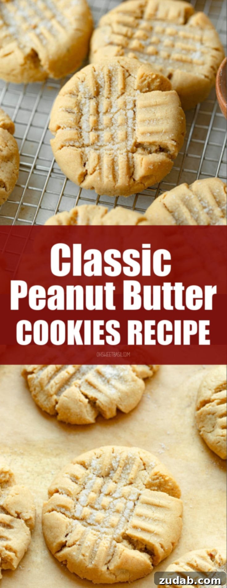 The Definitive Classic Peanut Butter Cookies 9 a photo of several baked peanut butter cookies