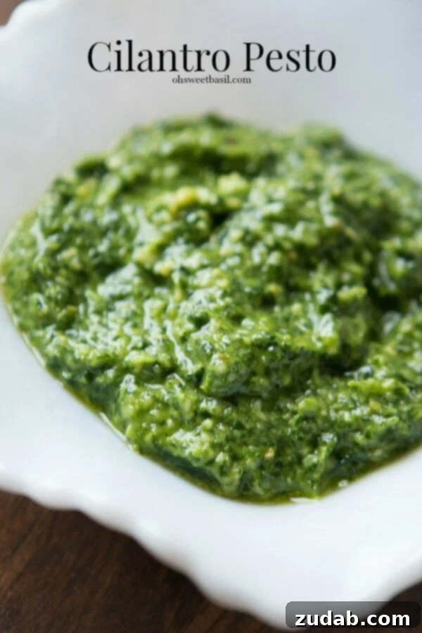 Cilantro Pesto in 5 minutes Freshly made Cilantro Pesto in a bowl with ingredients around it