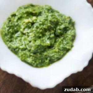 Vibrant Cilantro Puree 2 Cilantro Pesto in 5 minutes