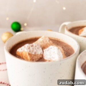 A square image of creamy homemade hot chocolate, inviting and warm.