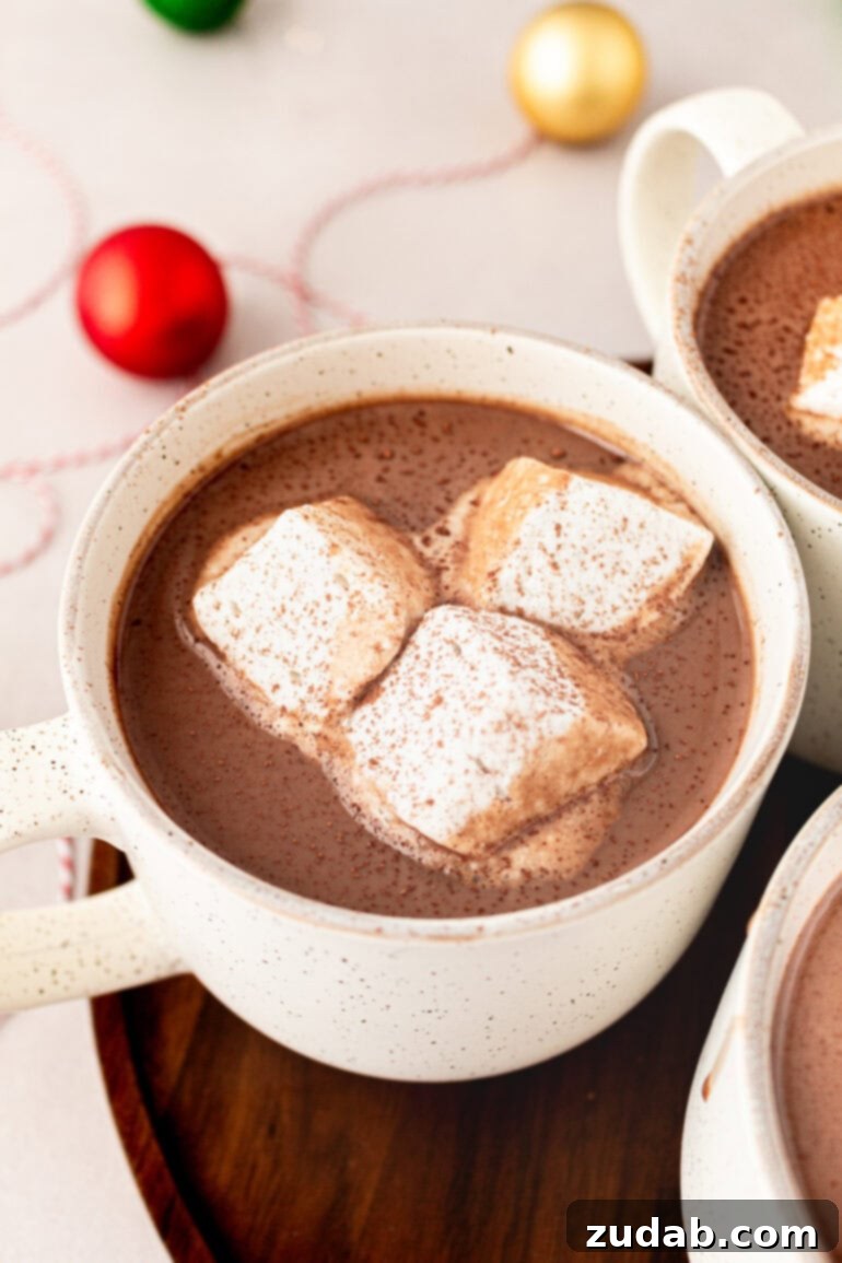 Blissful Homemade Hot Chocolate 10 A photo of a white mug filled with creamy hot chocolate, lavishly topped with three large, soft marshmallows, signifying a perfect cozy treat.
