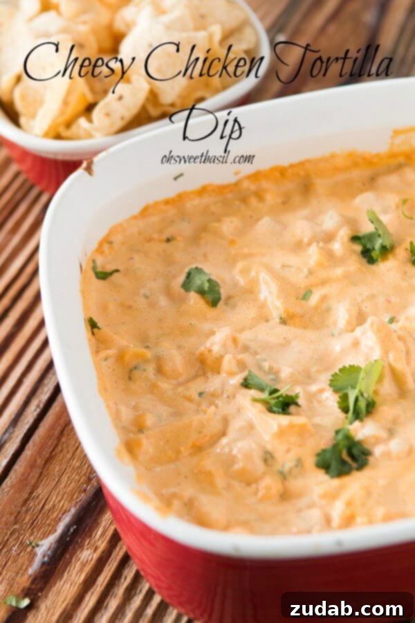 Ultimate Eight-Layer Hummus Dip 4 Cheesy Chicken Tortilla Dip for Game Day